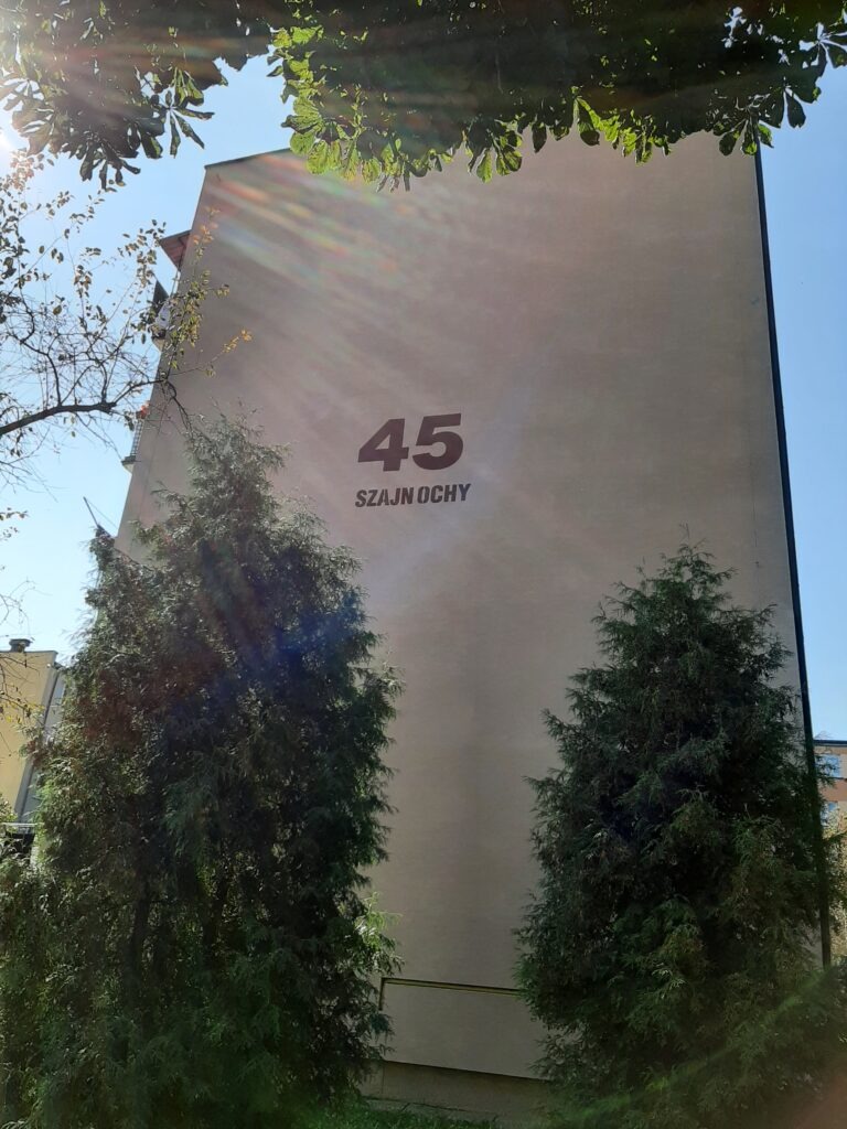 Szajnochy 45 i 47 – remont chodnika